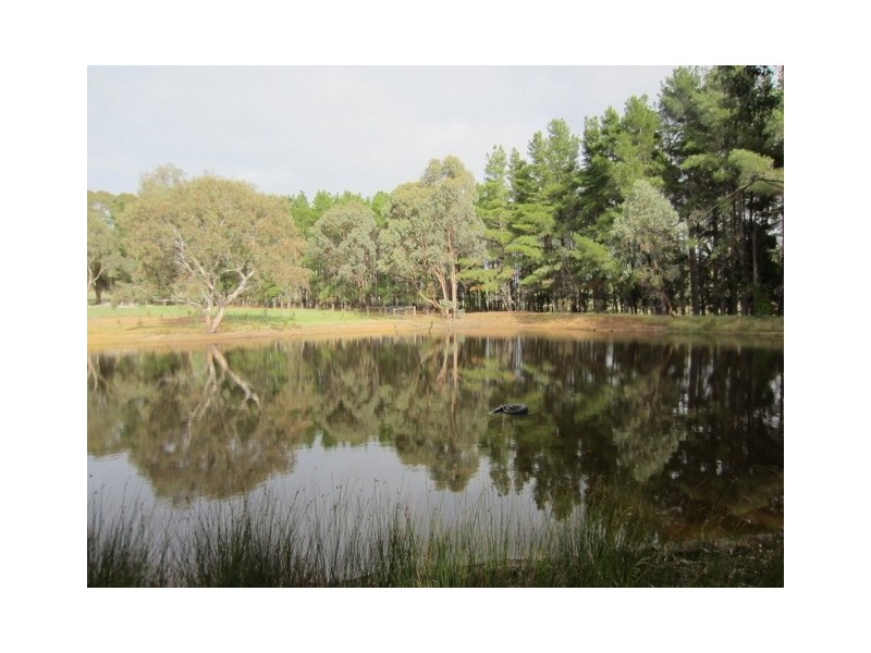 30 Box Forest Rd, Broadford VIC 3658