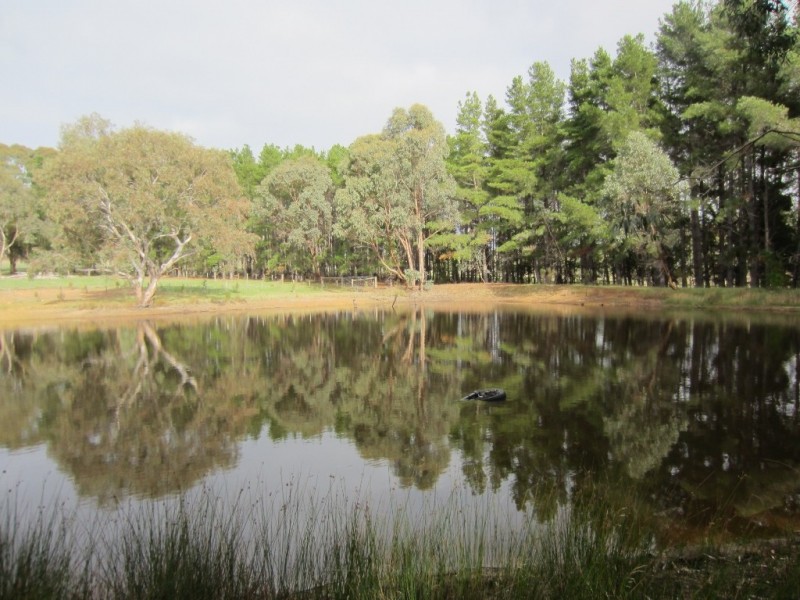 .30 Box Forest Road, Broadford VIC 3658