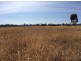 120 Highlands Road, Seymour VIC 3660