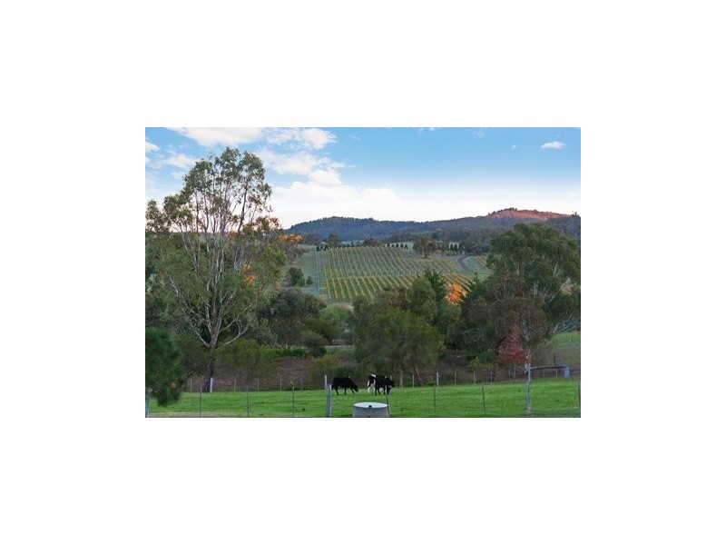 .1255 Whitlesea Wallan road, Upper Plenty VIC 3756