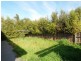 3 Serpens Court, Roxburgh Park VIC 3064