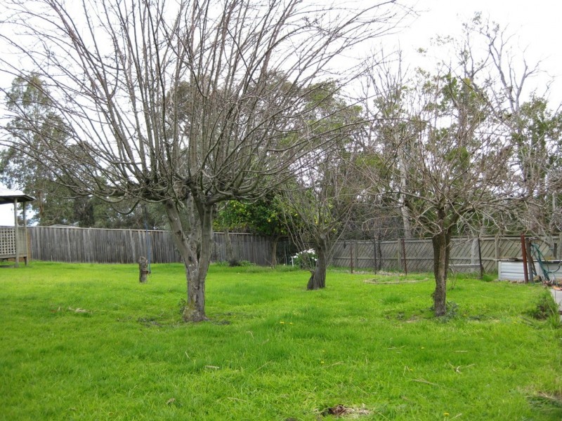 Lot 2/88 Yarralumla Drive, Langwarrin VIC 3910