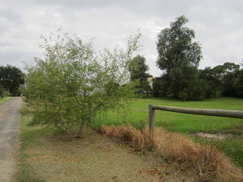 218 Warrandyte Road, Langwarrin VIC 3910