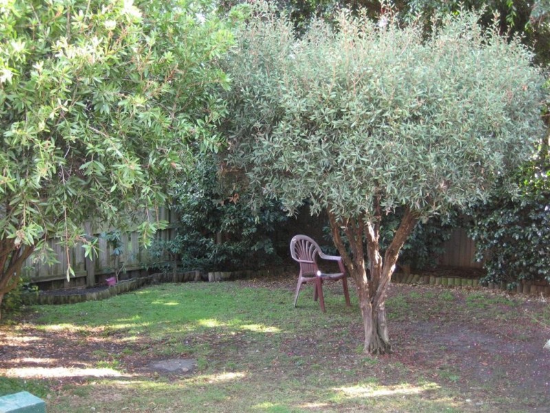 3/1 Hillcrest Road, Frankston VIC 3199