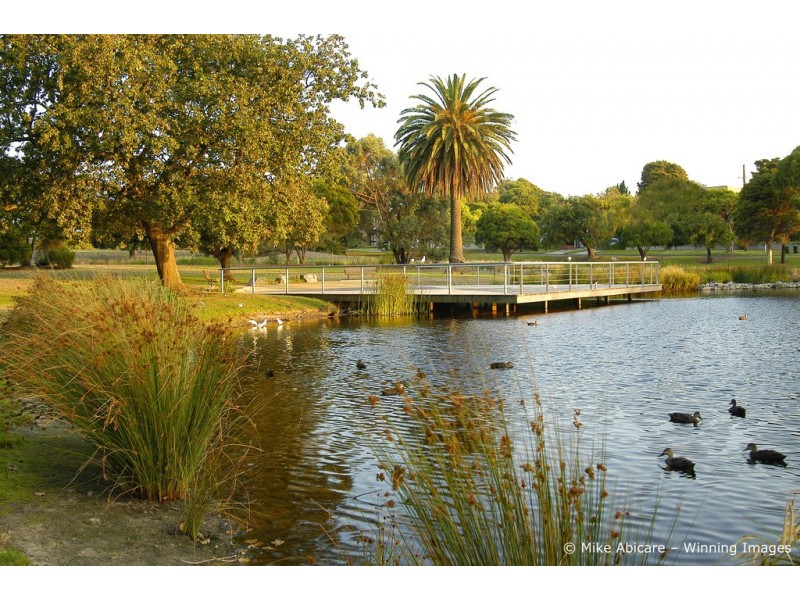 5/51 Screen Street, Frankston VIC 3199