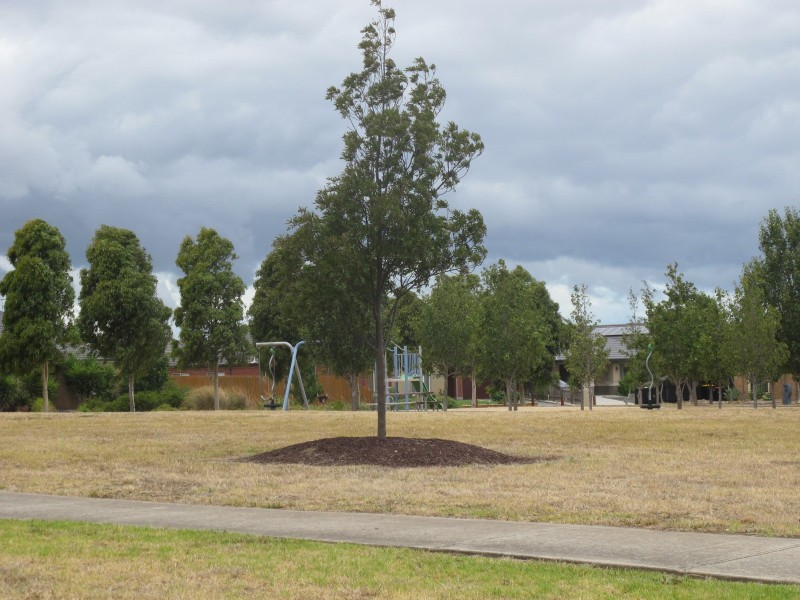 1 Rushcutters Place, Taylors Hill VIC 3037