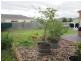 15 Marner Ave, Hillside VIC 3037