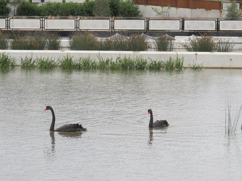 14/11 Monckton Place, Caroline Springs VIC 3023