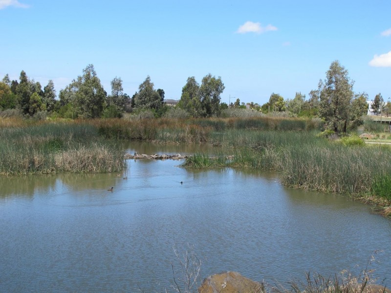 3 Lyons Avenue, Burnside Heights VIC 3023