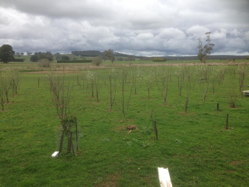 465 Blampied-Mollongghip Rd, Mount Prospect VIC 3364