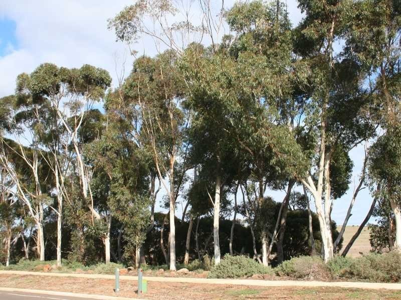 Lot 9032 St Arnaud Road, Eynesbury VIC 3338