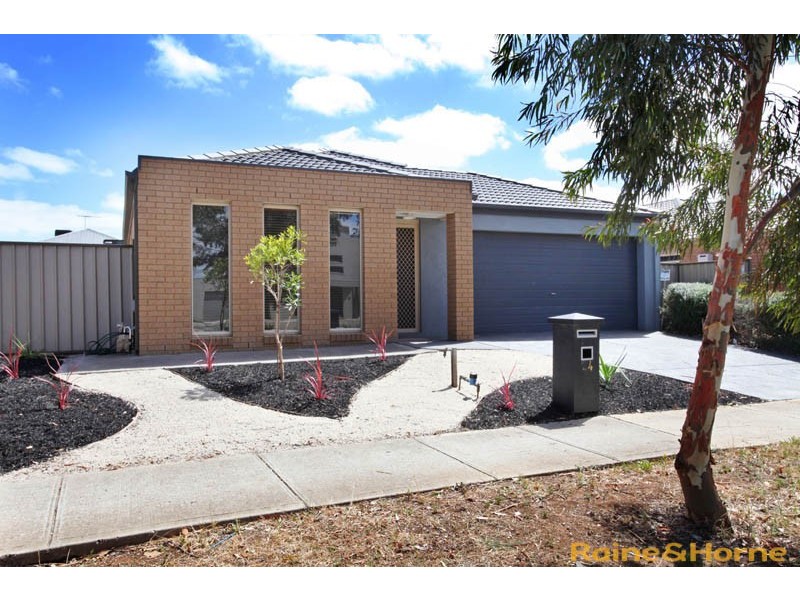 24 Inglewood Drive, Burnside Heights VIC 3023