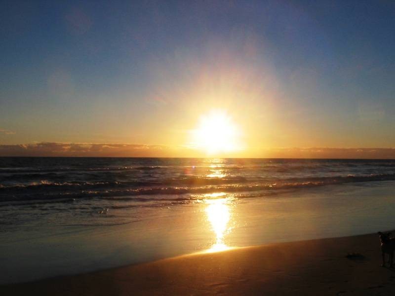 11 Figtree Lane, Golden Bay WA 6174