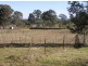 56 Polo Road, Rossmore NSW 2557