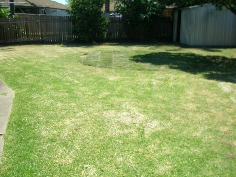 6 Dahlia Place, Claremont Meadows NSW 2747