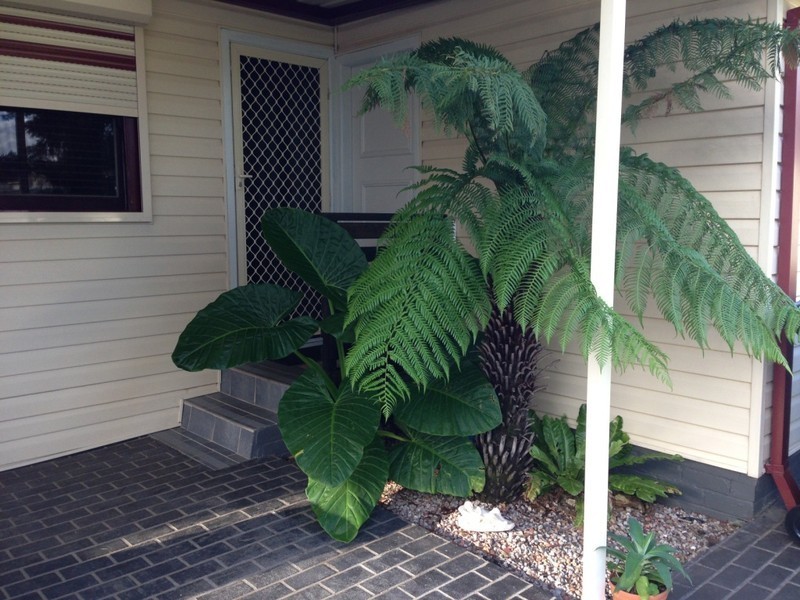 80 Oxford Street, Cambridge Park NSW 2747