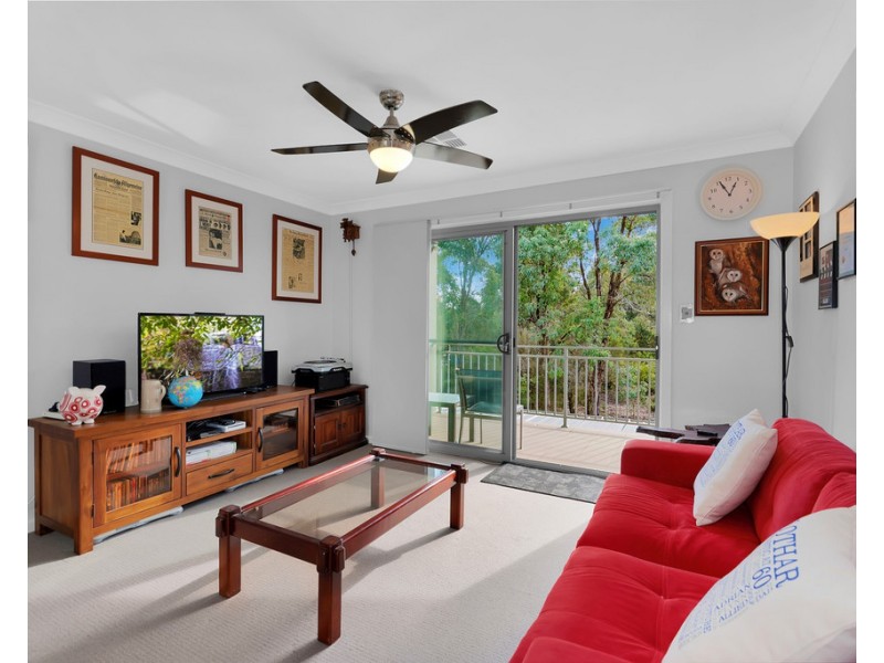 19 Firetail Circuit, Cranebrook NSW 2749