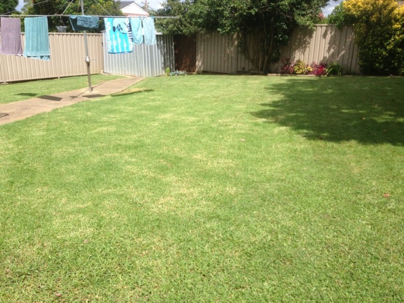 42 Lorne Avenue, South Penrith NSW 2750