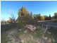 Meadow Flat NSW 2795