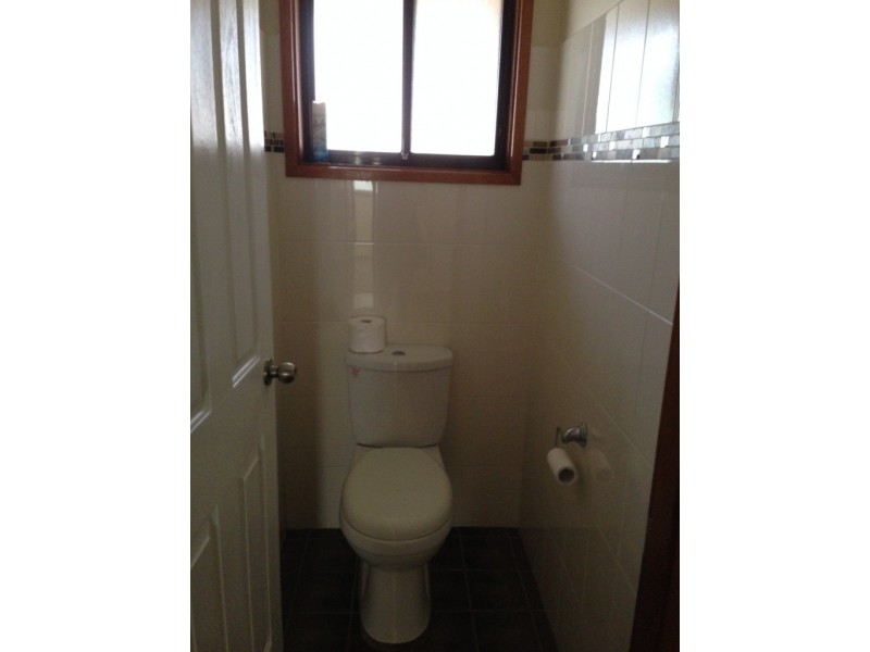 57 Corio Drive, St Clair NSW 2759