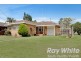 20 Racecourse Road, South Penrith NSW 2750