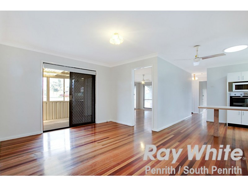 3 Druitt Place, Werrington County NSW 2747