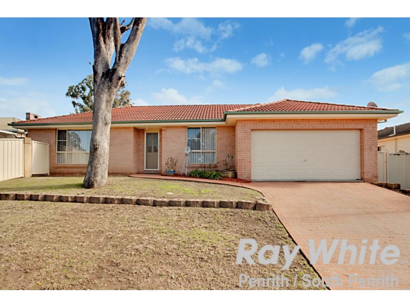 1/134 Oxford Street, Cambridge Park NSW 2747