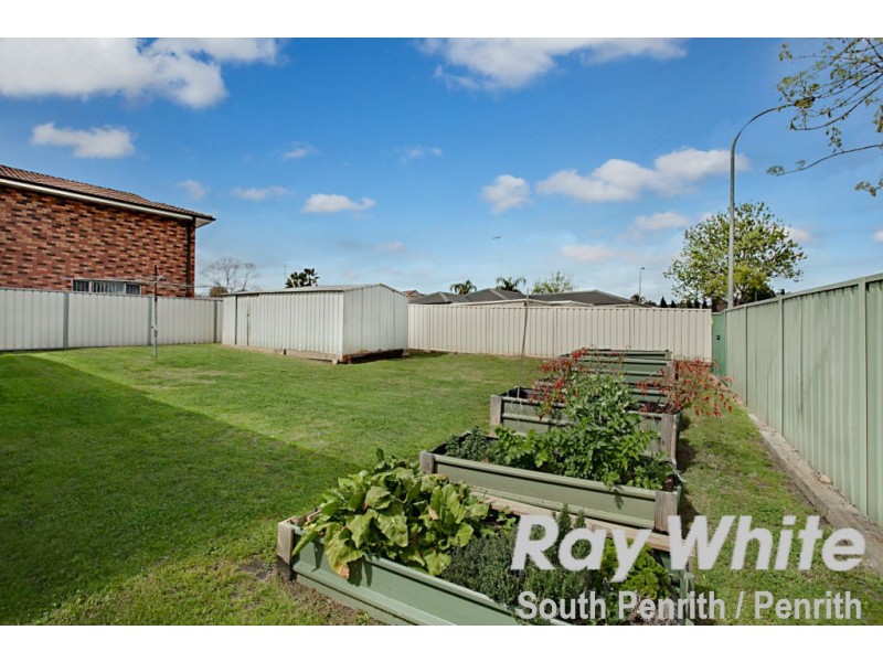 155 Sunflower Drive, Claremont Meadows NSW 2747