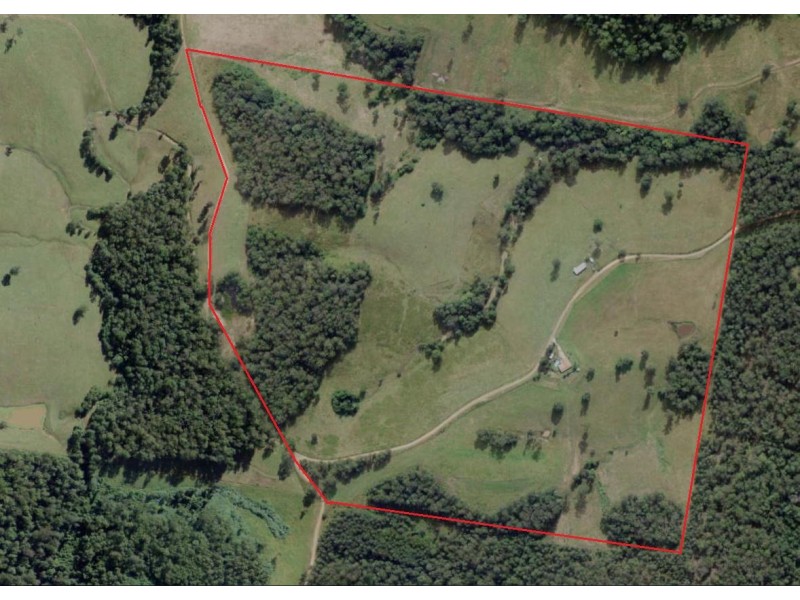 117 Sharkeys Road, Beechwood NSW 2446