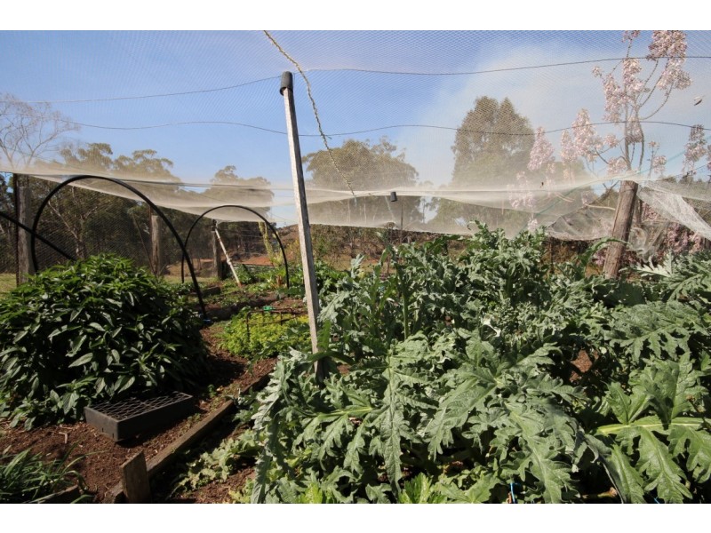 721 Costigans Road, Yarras NSW 2446
