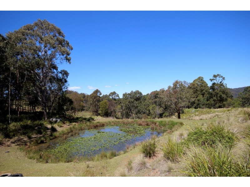 721 Costigans Road, Yarras NSW 2446