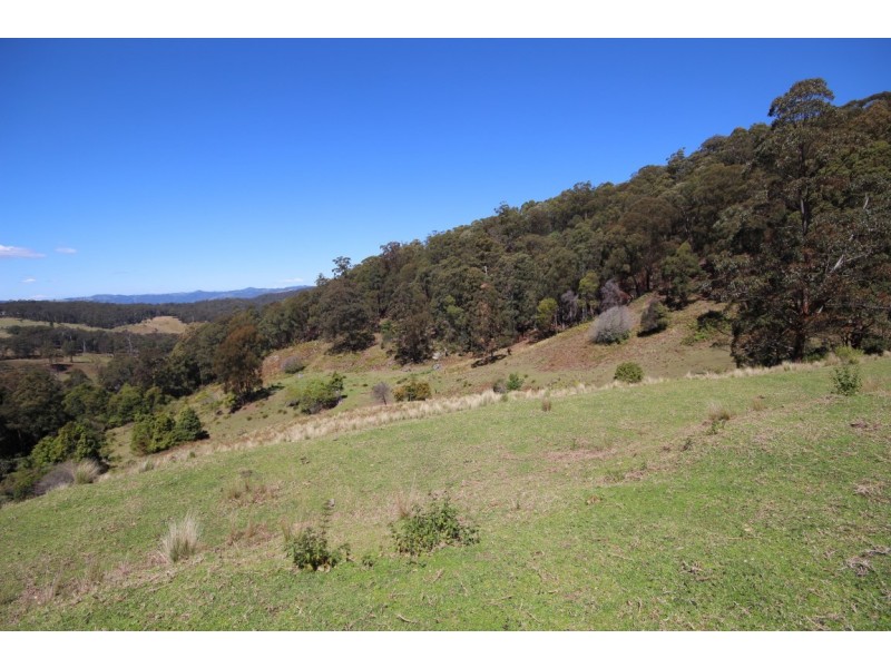 721 Costigans Road, Yarras NSW 2446
