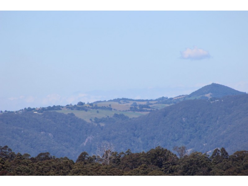 721 Costigans Road, Yarras NSW 2446