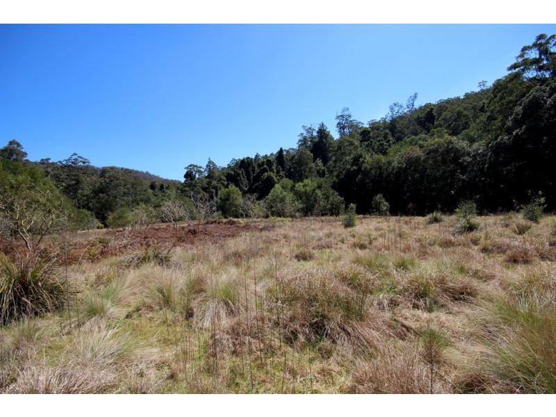 721 Costigans Road, Yarras NSW 2446