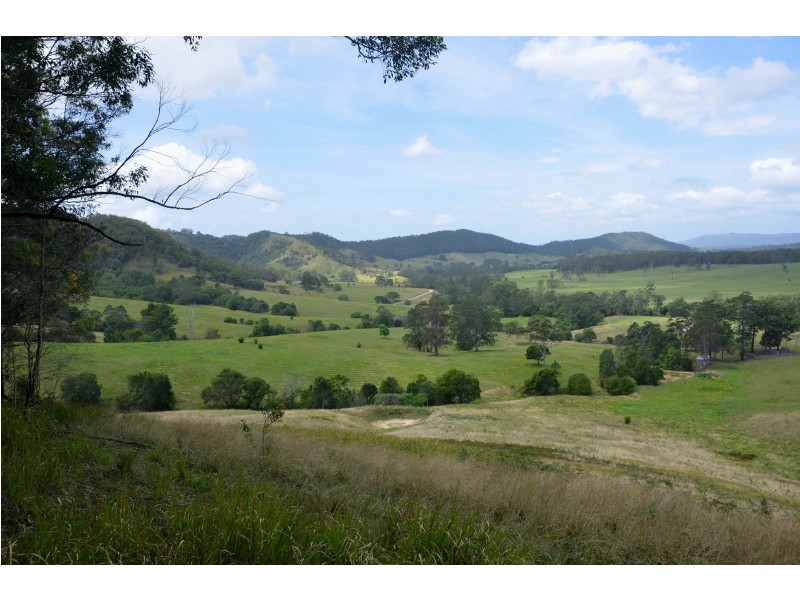 Lot 1 Pipeclay Road, Pipeclay NSW 2446