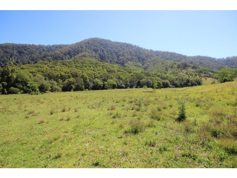 Lot 2 Pine Scrub Road, Kindee NSW 2446