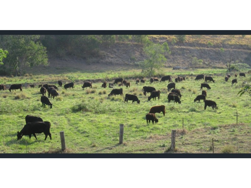 Lot 2 Pine Scrub Road, Kindee NSW 2446