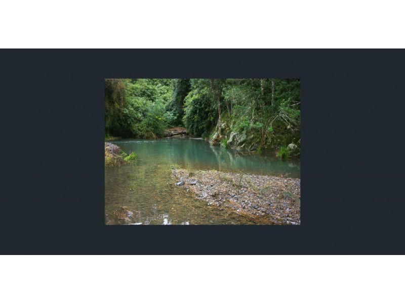 Lot 2 Pine Scrub Road, Kindee NSW 2446