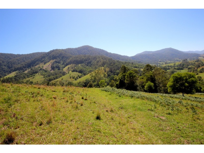 Lot 2 Pine Scrub Road, Kindee NSW 2446