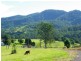 Long Flat NSW 2446