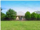 Long Flat NSW 2446