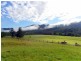 Long Flat NSW 2446