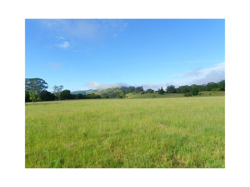 Long Flat NSW 2446