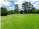 Beechwood NSW 2446