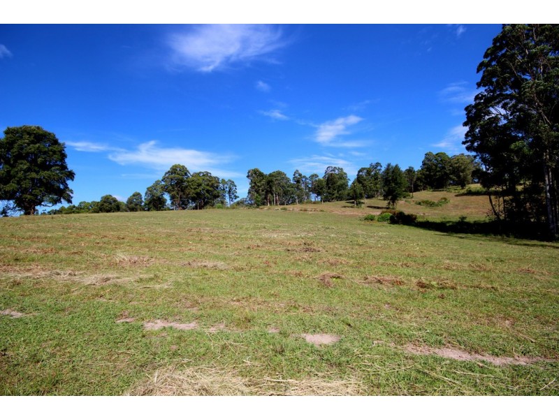 Lot 1 Bellangry Road, Bellangry NSW 2446