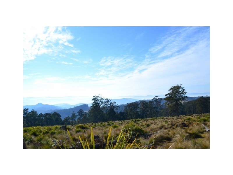 Lot 145 Costigans Road, Yarras NSW 2446