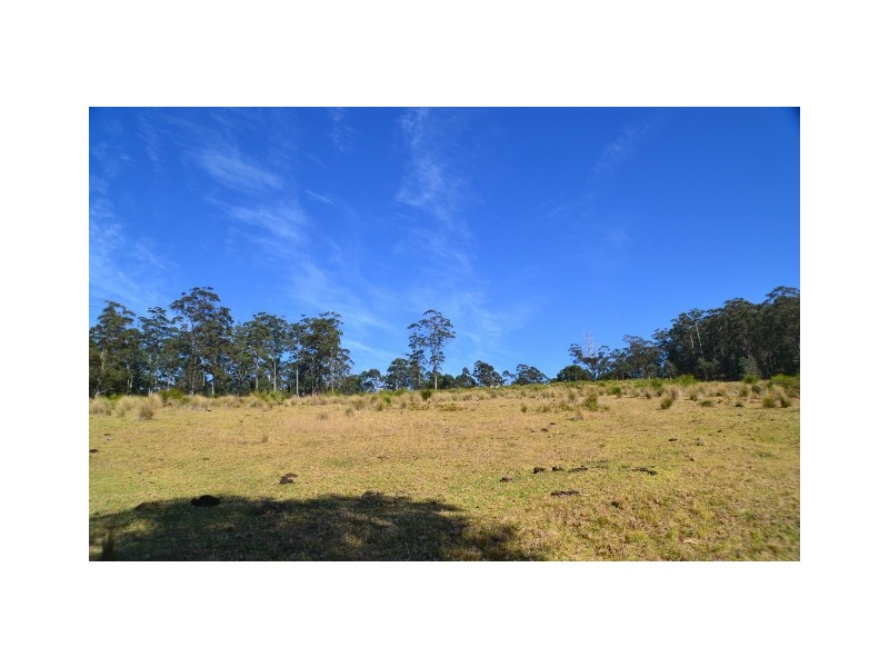 Lot 145 Costigans Road, Yarras NSW 2446