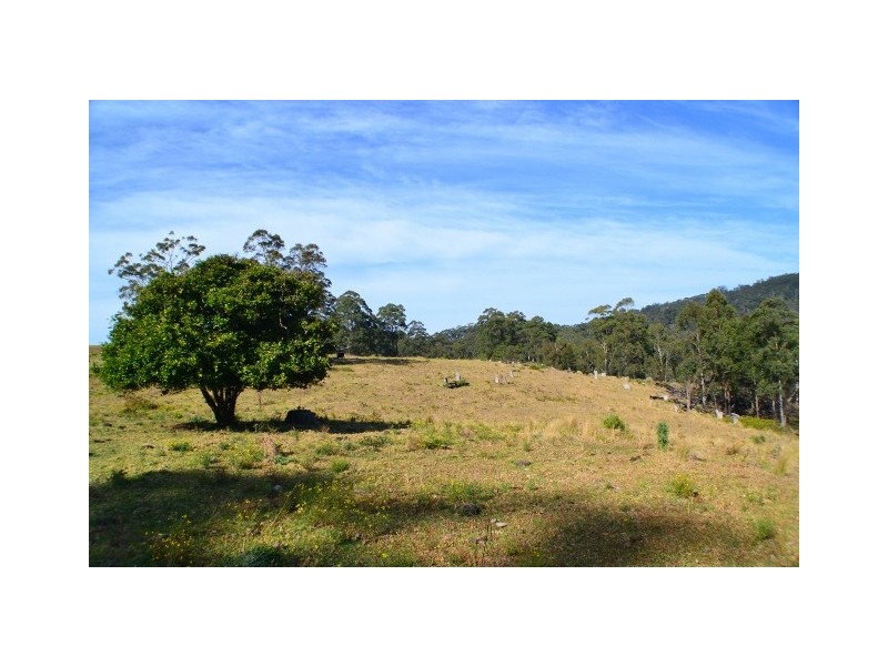 Lot 145 Costigans Road, Yarras NSW 2446