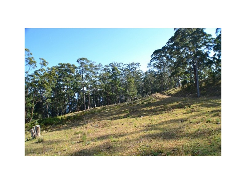 Lot 145 Costigans Road, Yarras NSW 2446