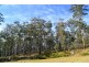 Lot 145 Costigans Road, Yarras NSW 2446